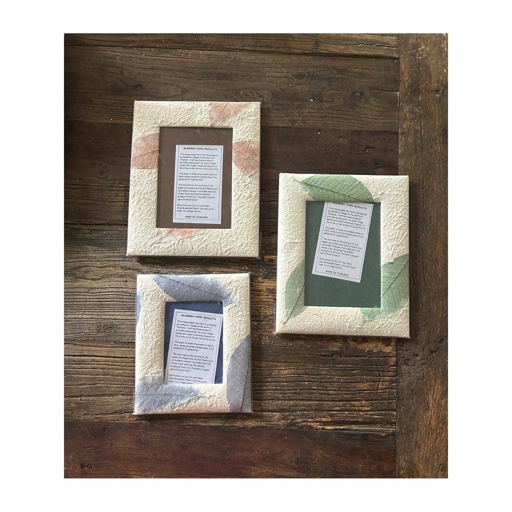 Handmade Thai Puffy Mulberry Paper Frames Cream Floral Botanical Wall Decor Set